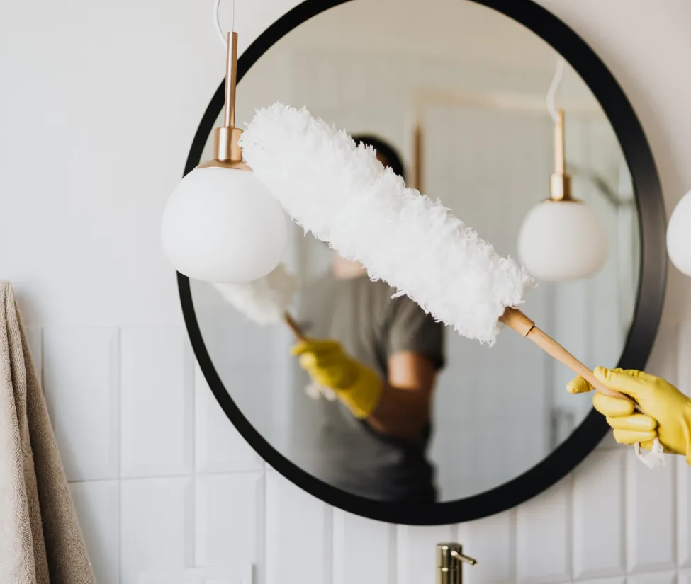 Eco-friendly professional cleaning service